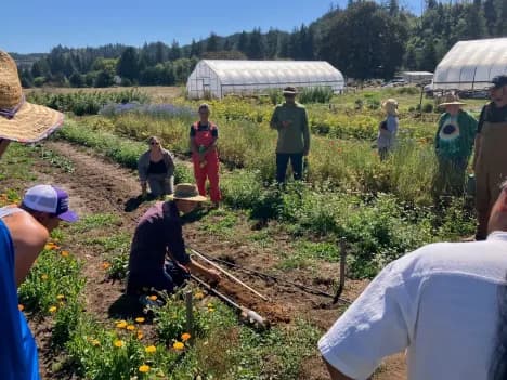 Community members tending rows of crops together